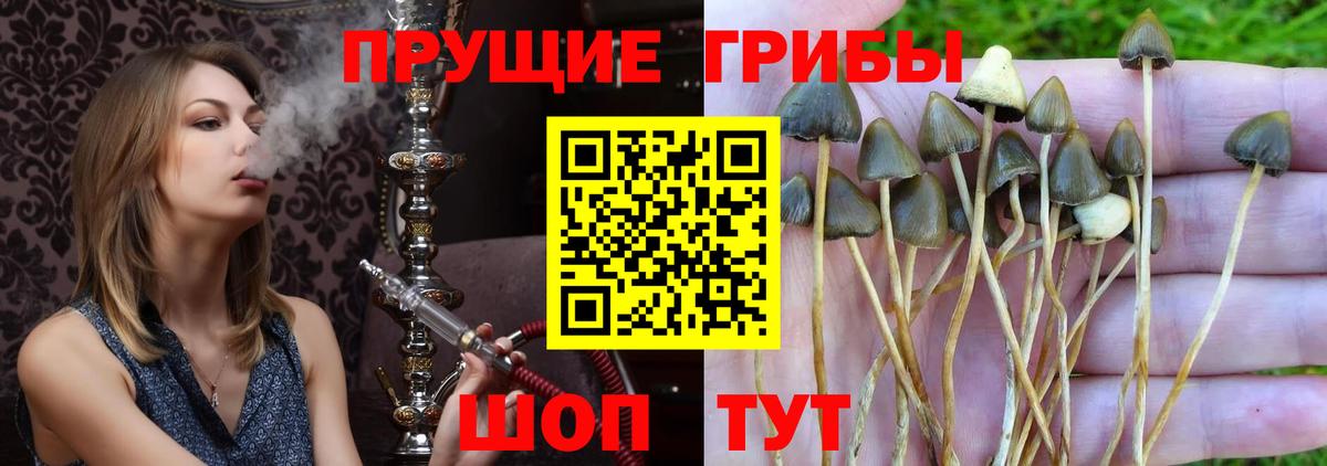 Галлюциногенные грибы GOLDEN TEACHER  Галлюциногенные грибы Psilocybe  Вход с VPN  хочу   Городец 